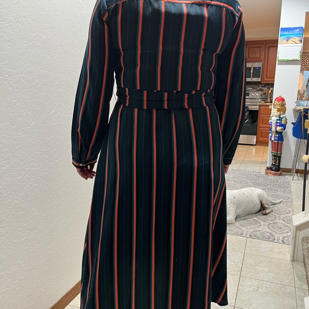 Striped Button-Up Dress - Picture 2 of 12